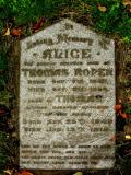 image of grave number 99773